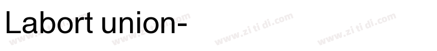 Labort union字体转换